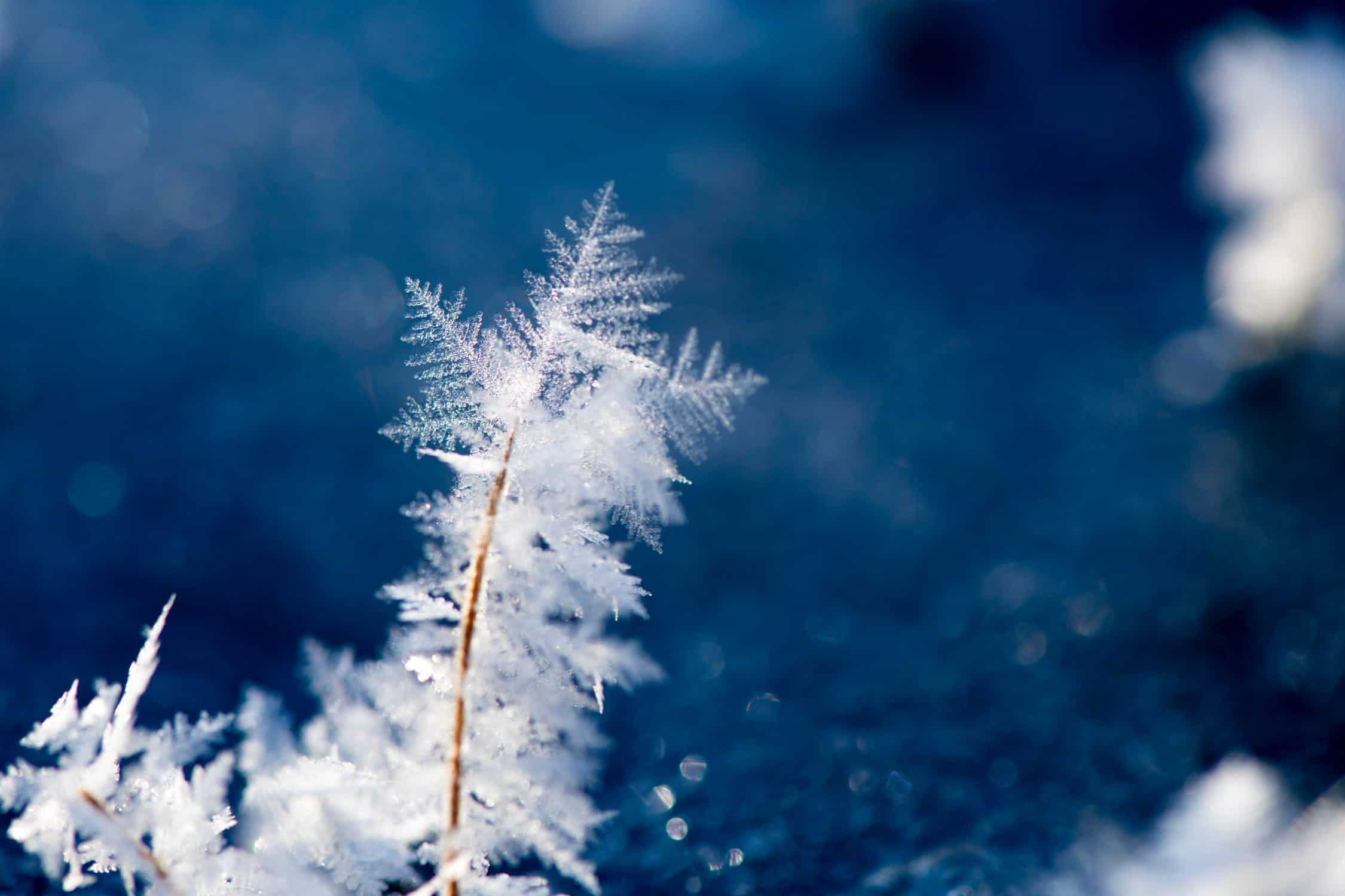 Dec. 19 weather: Cold winds on the way as temperature dropping across southern Ontario