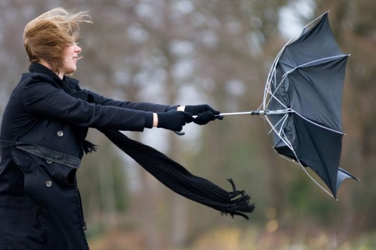 Nov 29 weather: Wind chill and more snow on the way in southern Ontario