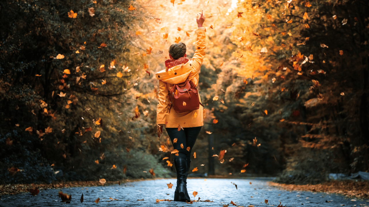 fall, weather, rain, windy, chilly, cool, conditions, southern Ontario.