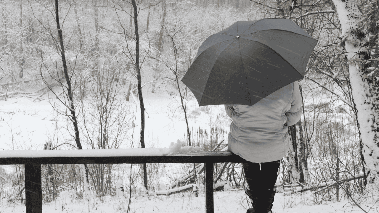 snow, rain, cloudy, blizzard, brisk, windy, weather, southern Ontario.