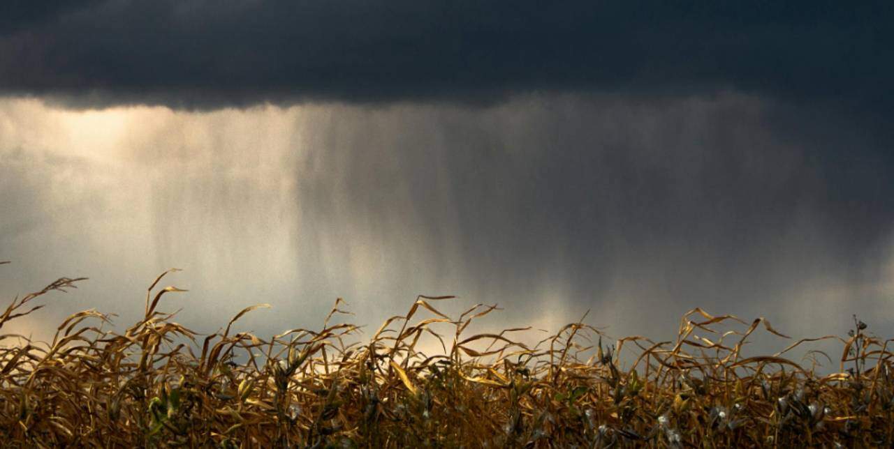 June 25 weather: Thunderstorm risk a cooler temperatures in southern Ontario