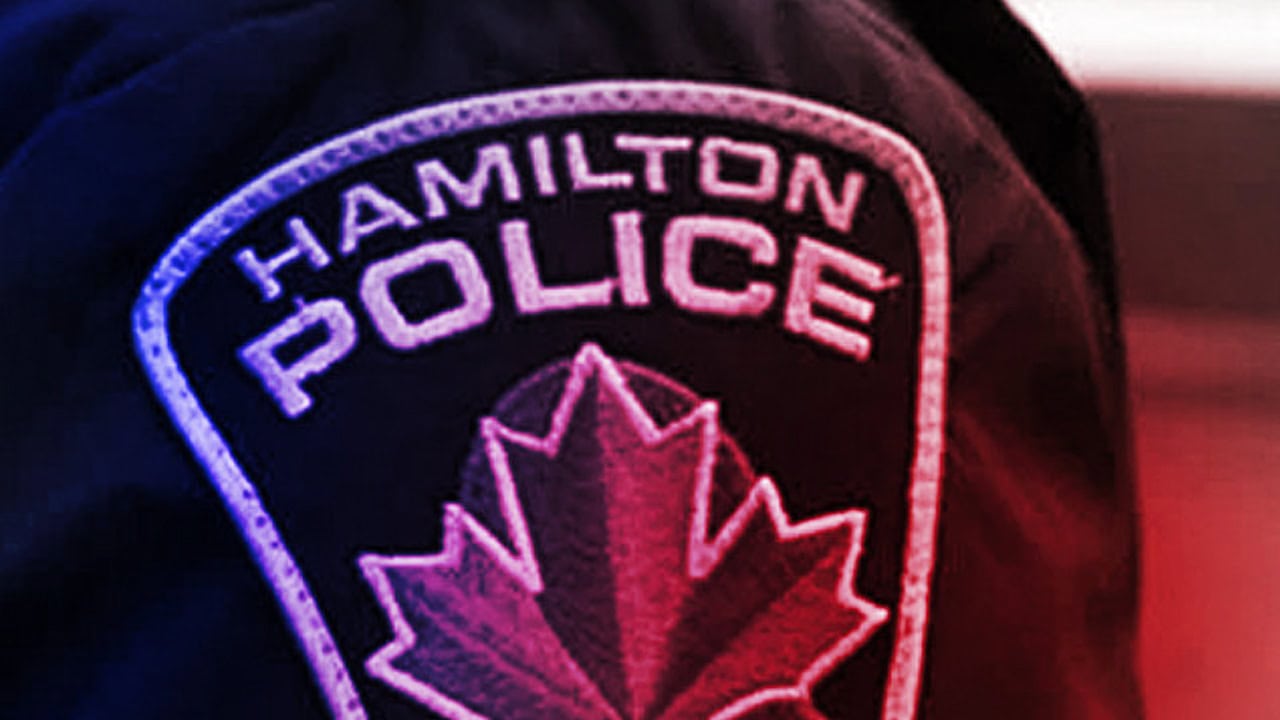 hamilton senior fraud bank