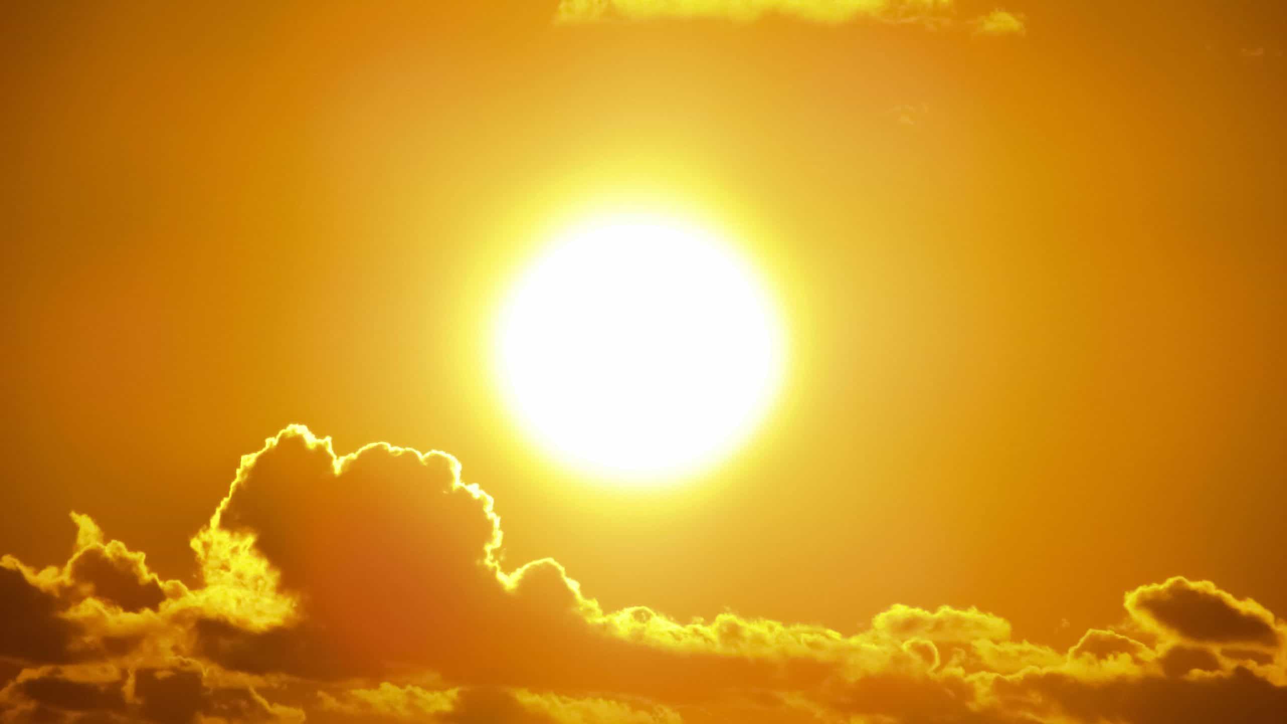 Scorching temperatures above 30 C expected for southern Ontario this week